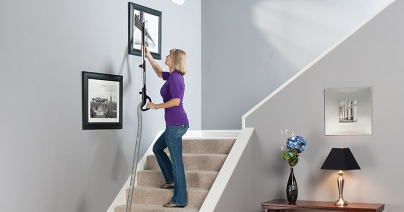 electrolux_-_el8811a_brushroll_pet_stairs.jpg Allergies and asthma